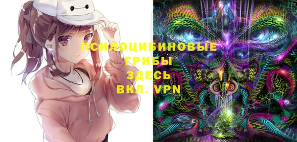 ALPHA PVP Бородино