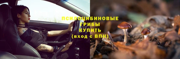 мяу мяу мука Бугульма