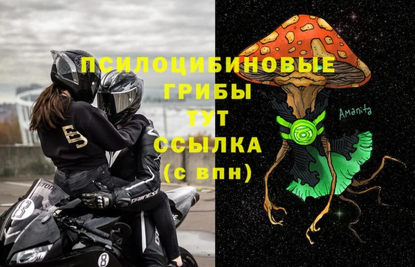 ALPHA PVP Бородино
