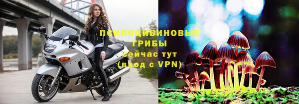 мяу мяу мука Бугульма